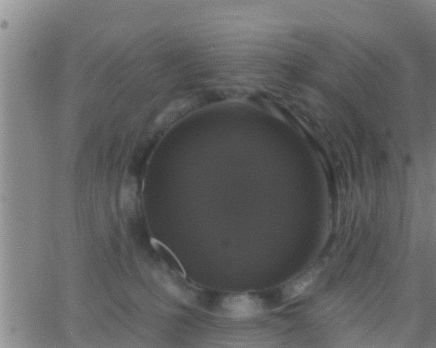 X0000063530231200601271909