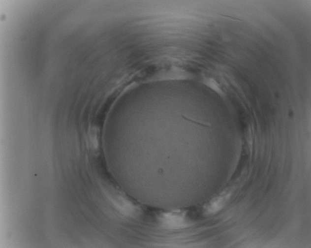 X0000063530232200601271909