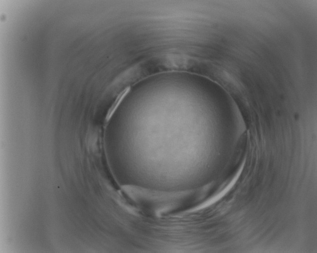 X0000063530233200601271909