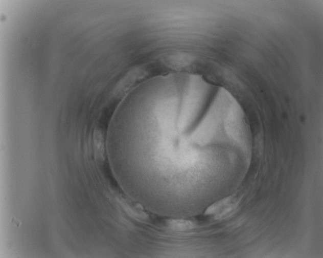 X0000063530234200601271909