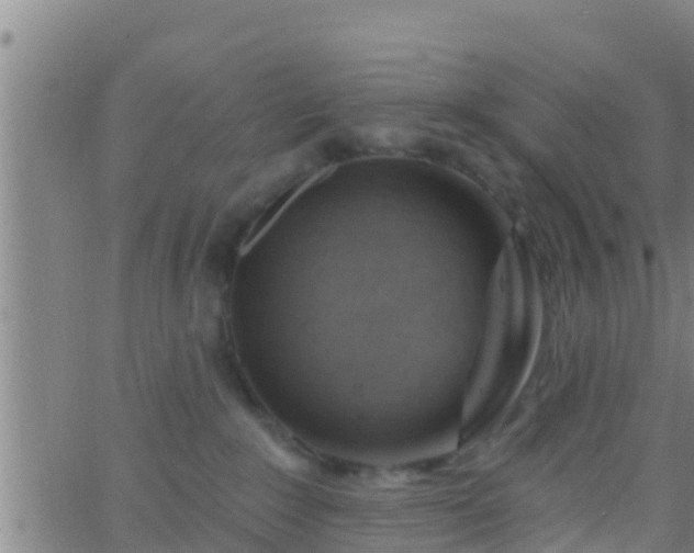 X0000063530235200601271909