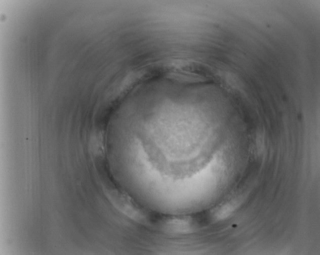 X0000063530236200601271909