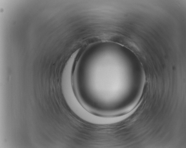 X0000063530237200601271909