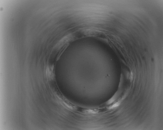 X0000063530239200601271909