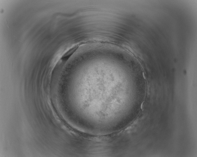 X0000063530241200601271908