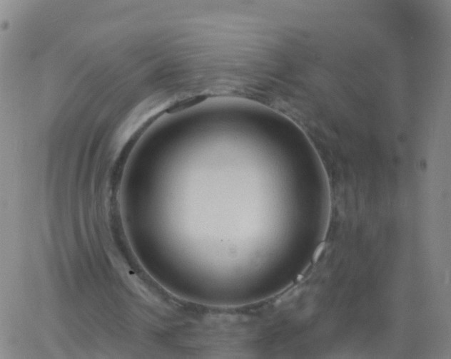 X0000063530242200601271908