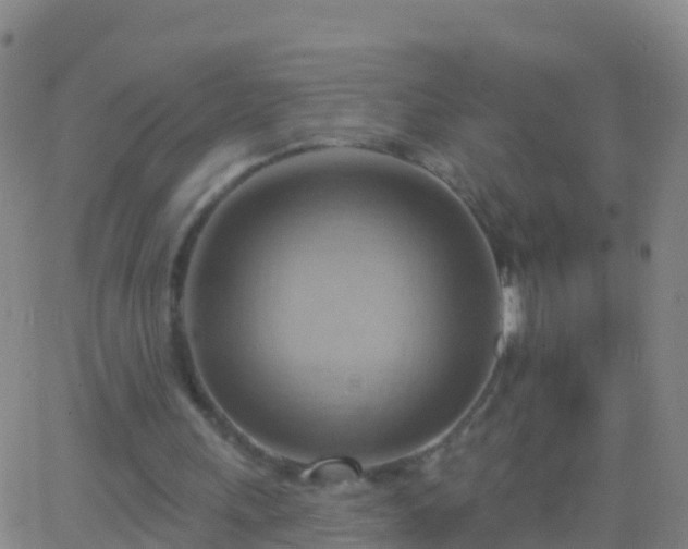 X0000063530243200601271908