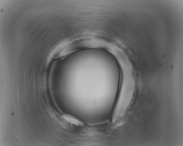 X0000063530244200601271908