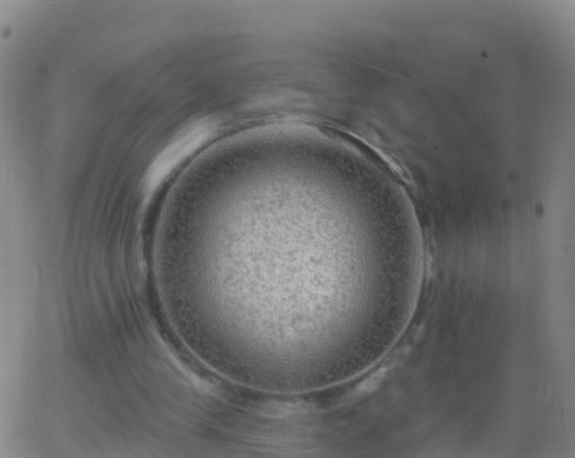 X0000063530245200601271908