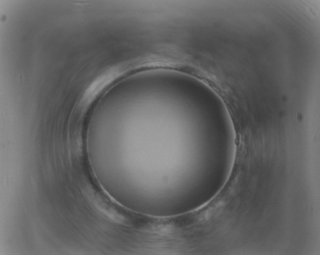 X0000063530247200601271908