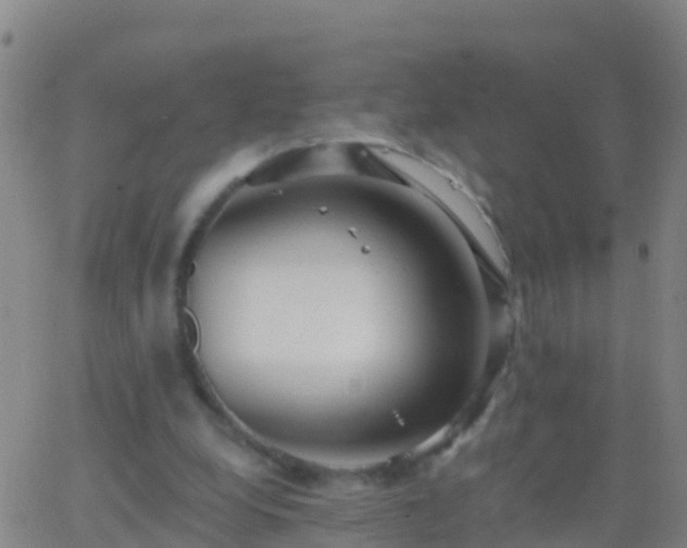 X0000063530248200601271908