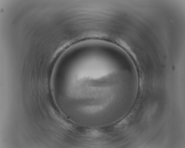 X0000063530249200601271908