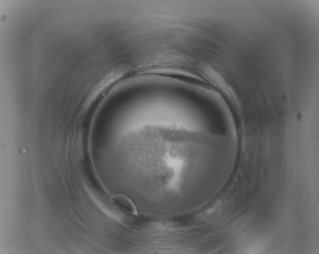 X0000063530250200601271908