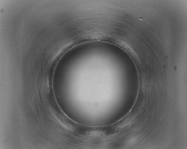 X0000063530251200601271908