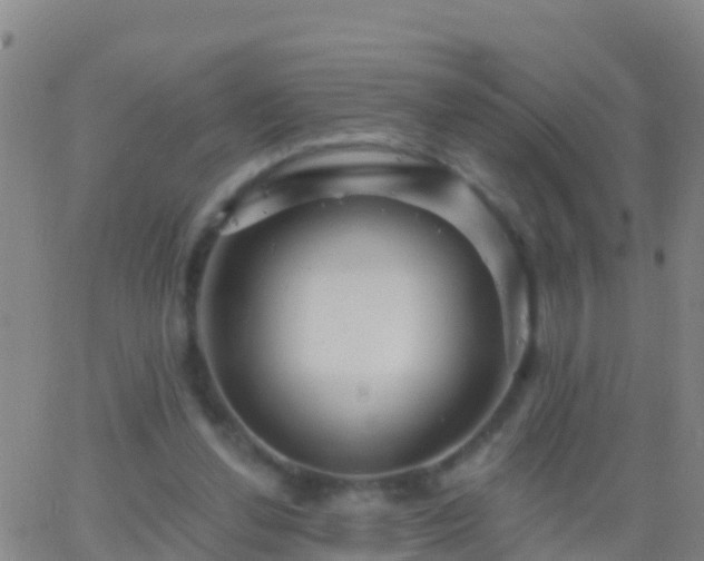 X0000063530252200601271908