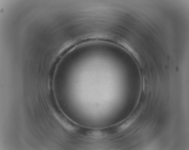 X0000063530253200601271908