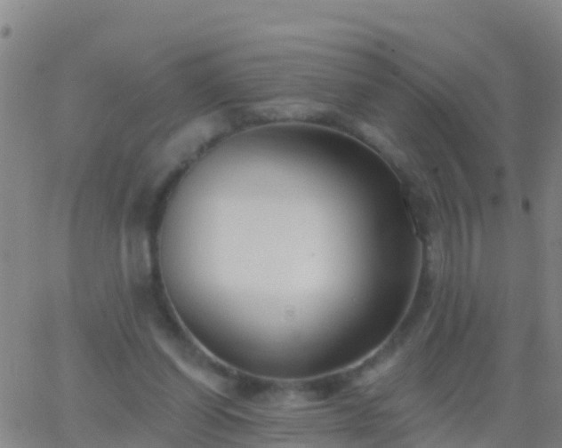 X0000063530254200601271908