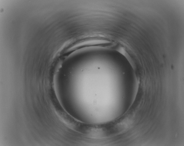 X0000063530256200601271908