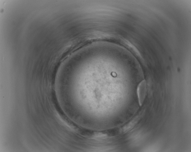 X0000063530257200601271908