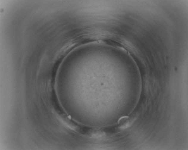 X0000063530258200601271908