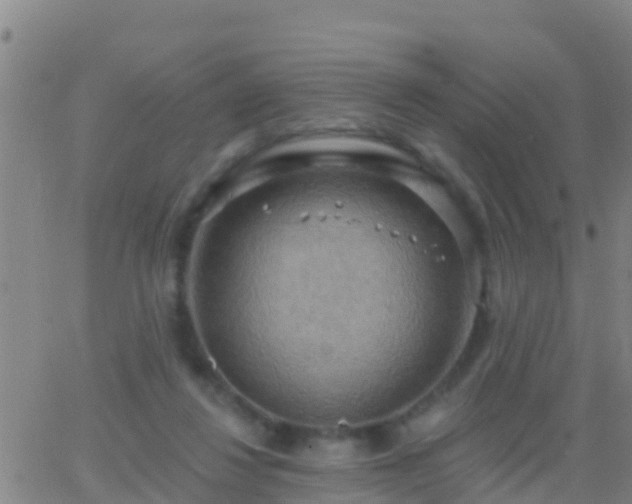 X0000063530260200601271908