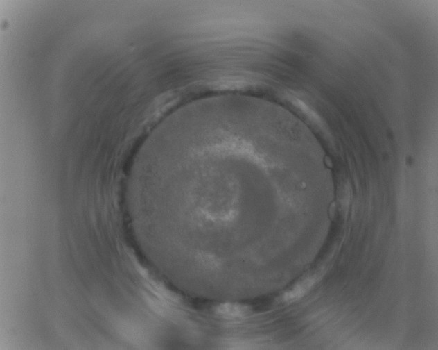 X0000063530261200601271908