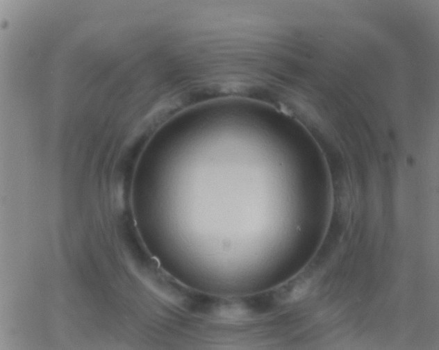 X0000063530262200601271908