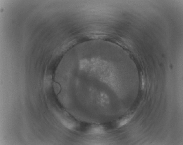 X0000063530263200601271908