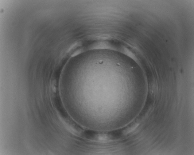 X0000063530264200601271908