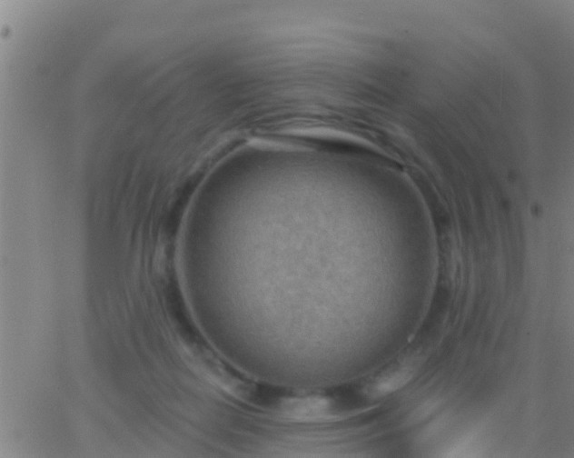 X0000063530266200601271908