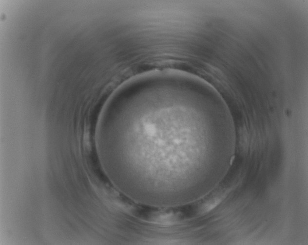 X0000063530267200601271908