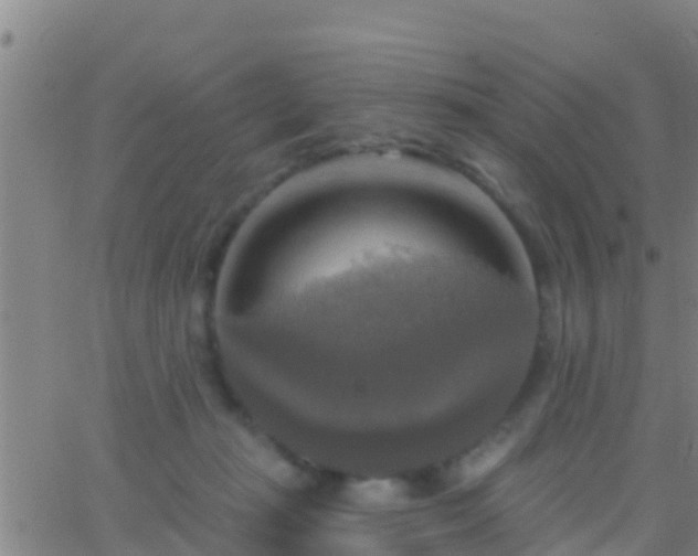 X0000063530269200601271908