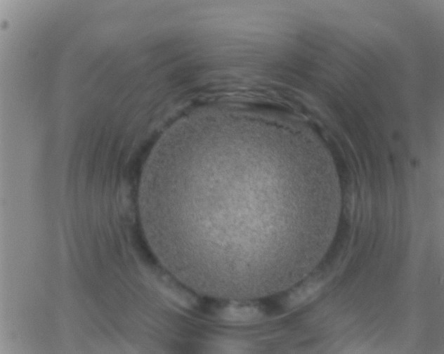 X0000063530270200601271908