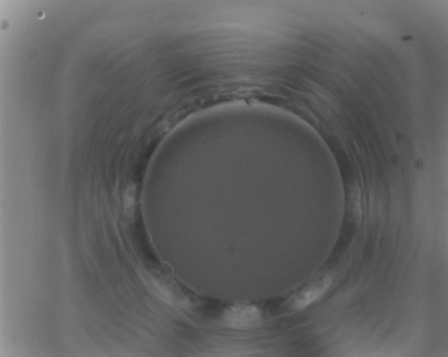 X0000063530271200601271908