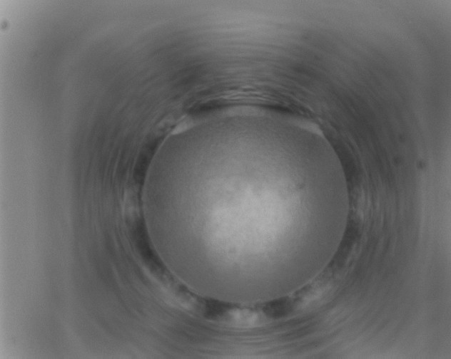 X0000063530272200601271908