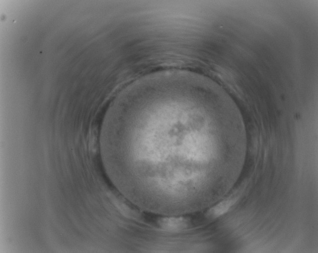 X0000063530273200601271908