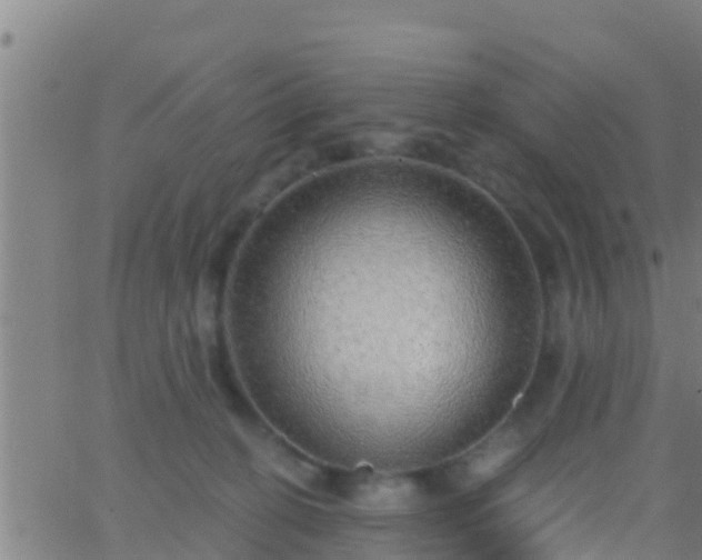 X0000063530274200601271908