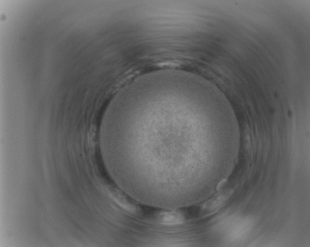 X0000063530275200601271908