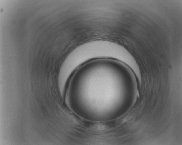 X0000063530276200601271908