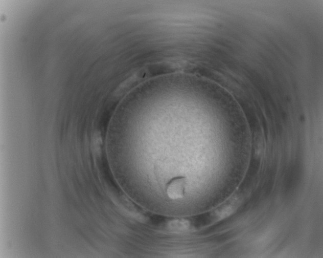 X0000063530279200601271908