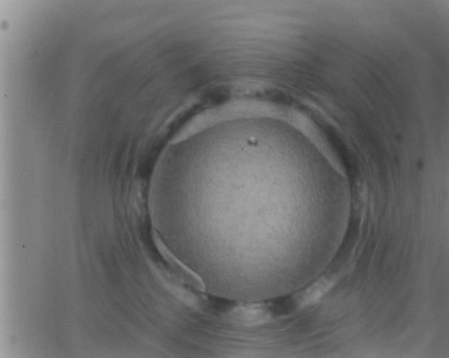 X0000063530280200601271909