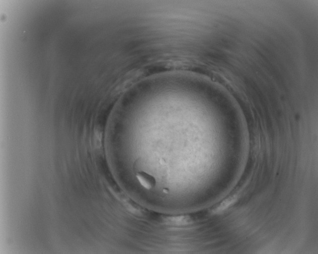 X0000063530281200601271909