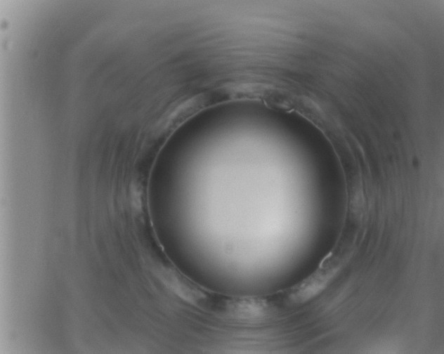 X0000063530282200601271909