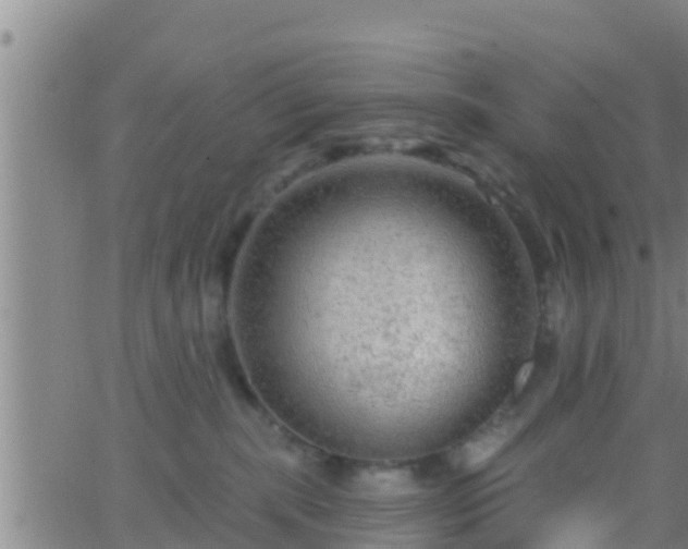 X0000063530283200601271909