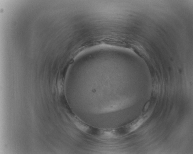 X0000063530285200601271909