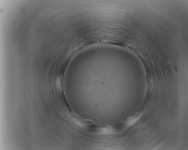 X0000063530286200601271909