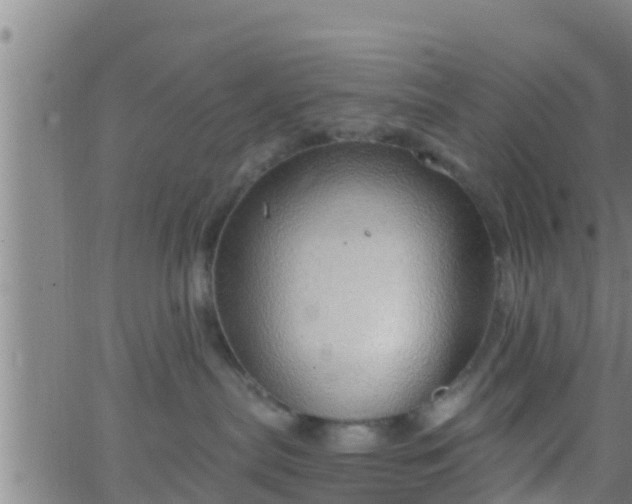 X0000063530287200601271909