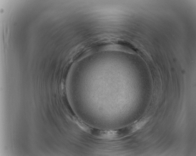 X0000063530288200601271909