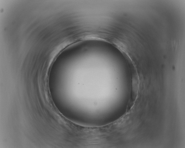 X0000063530289200601271908