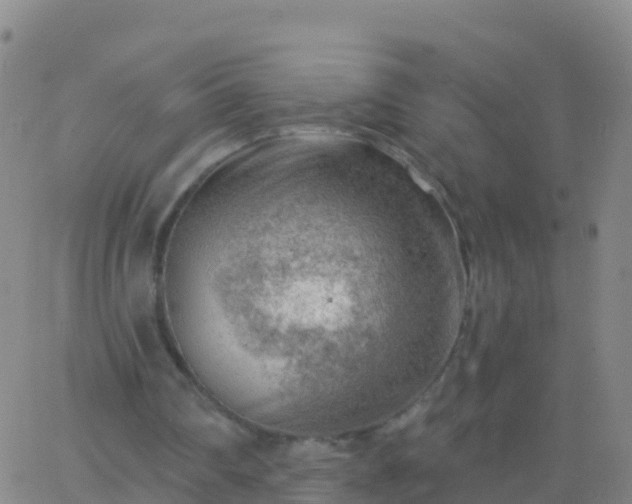 X0000063530290200601271908